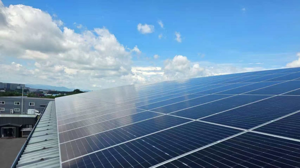Behind the Smiles: The Story of a Successful Solar Installation